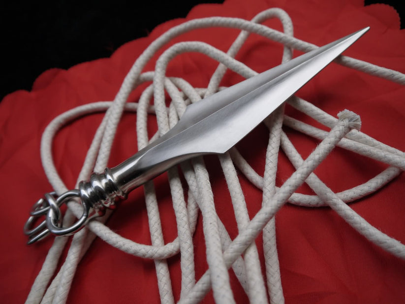 Rope Dartsheng Biaostainless Steel Chinese Sword Store